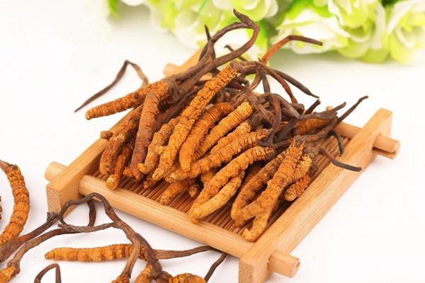 冬虫夏草适合哪些人群 冬虫夏草有哪些吃法