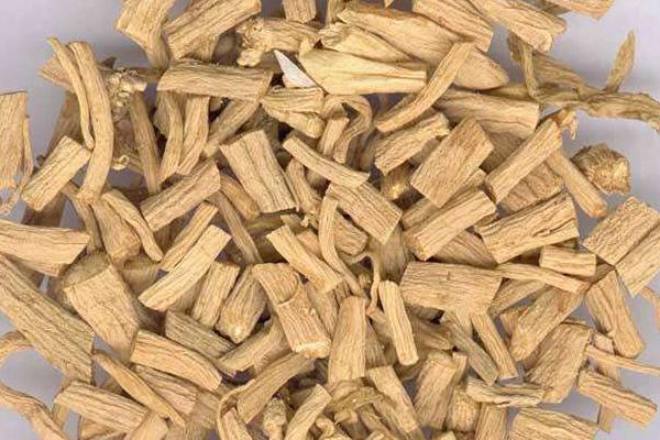 银柴胡和柴胡的区别是什么  银柴胡的功效和作用