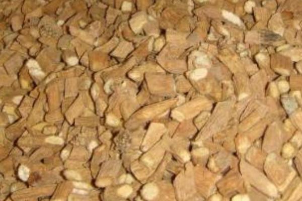 银柴胡和柴胡的区别是什么 银柴胡的功效和作用