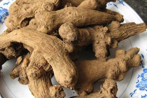 白术产地在哪里  白术的功效和作用