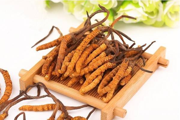 冬虫夏草什么时候吃最好 冬虫夏草有什么作用