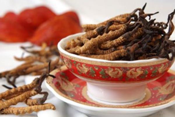 冬虫夏草是怎么形成的 冬虫夏草越大越好吗