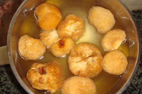 猴头菇为什么是苦的 猴头菇怎么泡