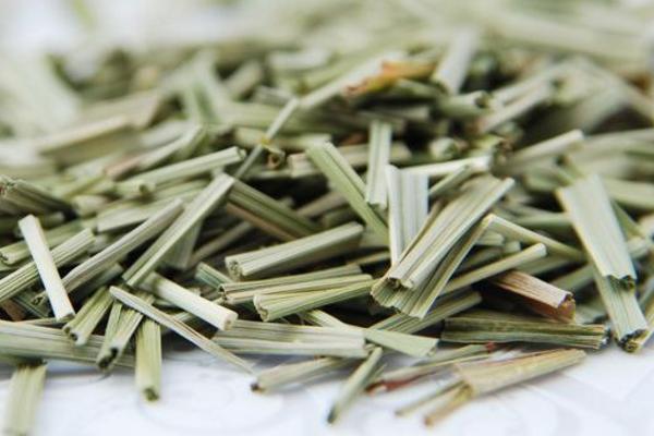 香茅草市场价格多少钱一斤 香茅怎么养