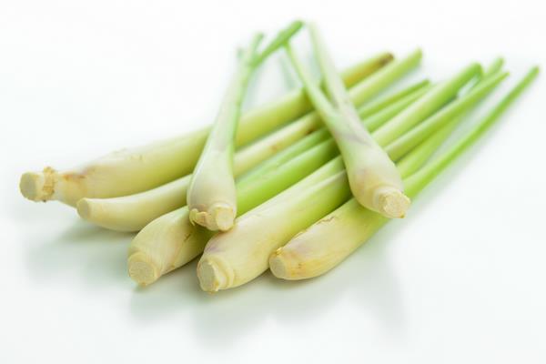 香茅油市场价格多少钱一斤 如何制作香茅草驱蚊水