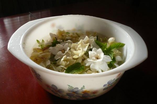 栀子花茶的功效与作用及禁忌 栀子花怎么泡茶