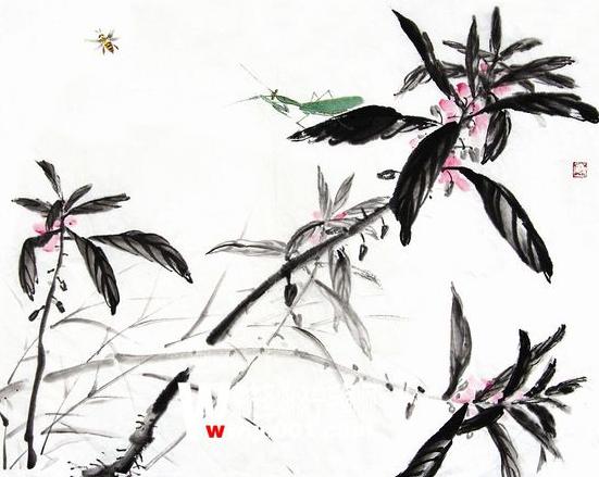 凤仙花怎么画(图解步骤) 凤仙花像什么