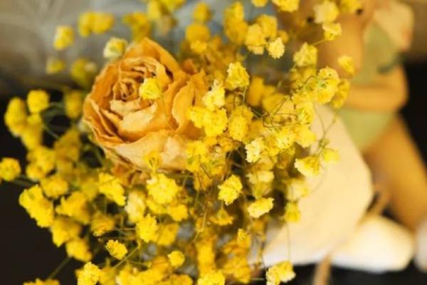 满天星什么时候开花(几月) 满天星的养殖方法和注意事项