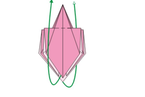 茉莉花怎么折(图解步骤) 茉莉花的画法