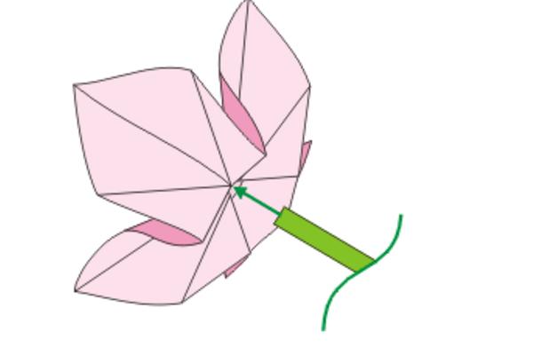 茉莉花怎么折(图解步骤) 茉莉花的画法