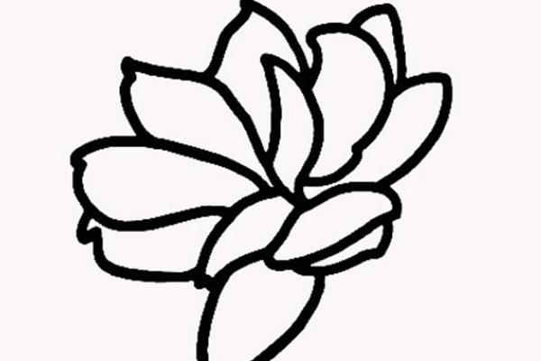 茉莉花怎么折(图解步骤) 茉莉花的画法