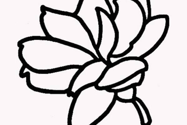 茉莉花怎么折(图解步骤) 茉莉花的画法