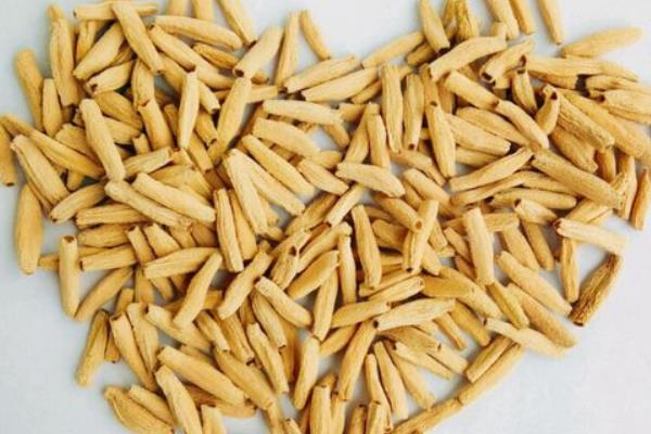 沙漠玫瑰怎么浇水(多久浇一次)沙漠玫瑰种子怎么种