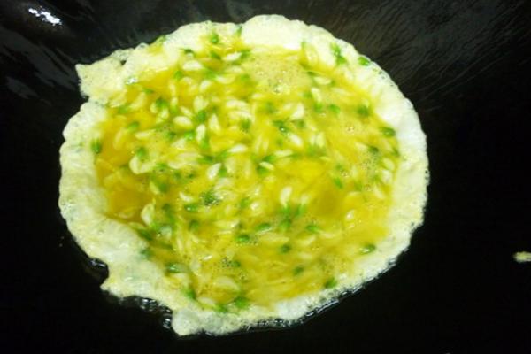 洋槐花能吃吗(怎么吃) 槐花有毒吗