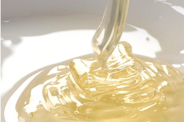 洋槐花能吃吗(怎么吃) 槐花有毒吗