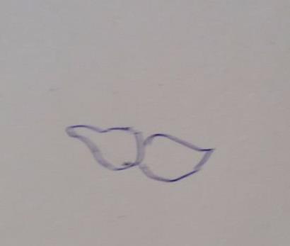 牡丹花简笔画步骤(图解) 牡丹花怎么折