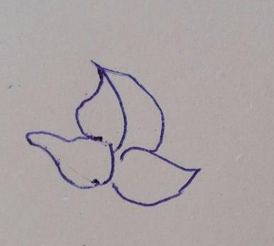 牡丹花简笔画步骤(图解) 牡丹花怎么折