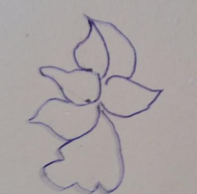 牡丹花简笔画步骤(图解) 牡丹花怎么折