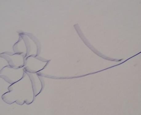 牡丹花简笔画步骤(图解) 牡丹花怎么折