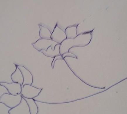 牡丹花简笔画步骤(图解) 牡丹花怎么折