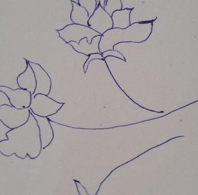 牡丹花简笔画步骤(图解) 牡丹花怎么折