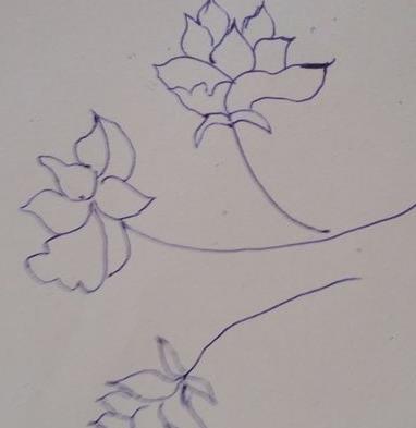 牡丹花简笔画步骤(图解) 牡丹花怎么折