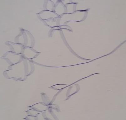 牡丹花简笔画步骤(图解) 牡丹花怎么折