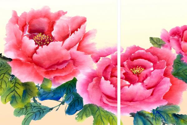 牡丹花简笔画步骤(图解) 牡丹花怎么折