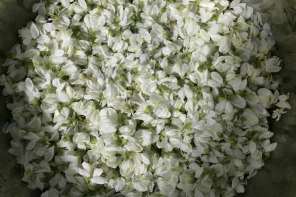 槐花包子馅怎么做 槐花包子怎么做好吃