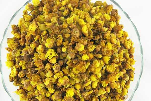 腊梅功效与作用及禁忌 腊梅药用价值