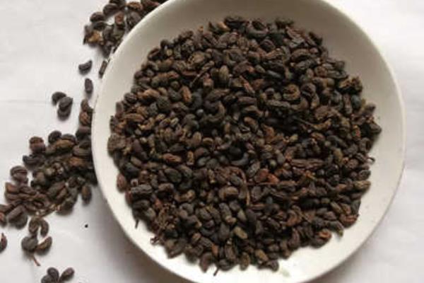 女贞子泡水喝的功效与作用及禁忌  女贞子的临床配方