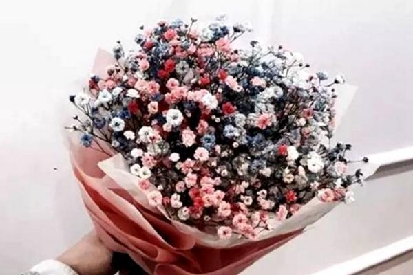 满天星有毒吗 满天星能放在室内卧室吗