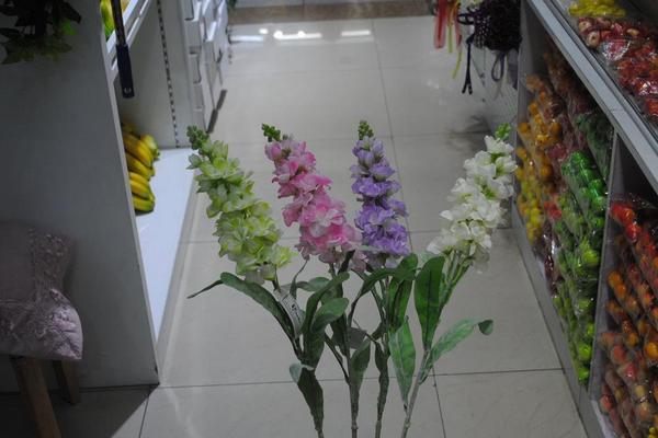 紫罗兰图片大全 紫罗兰花语(传说、寓意)