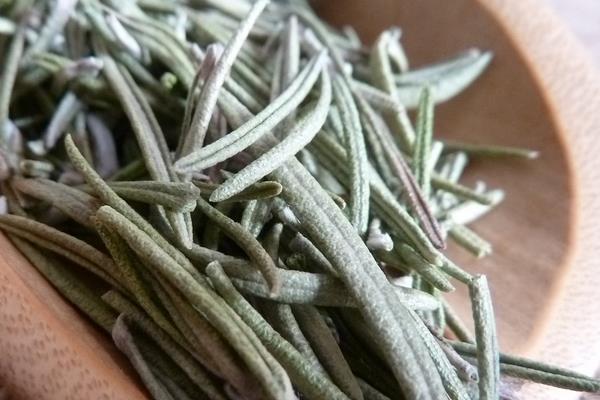 迷迭香是什么味道(好闻吗) 迷迭香怎么用