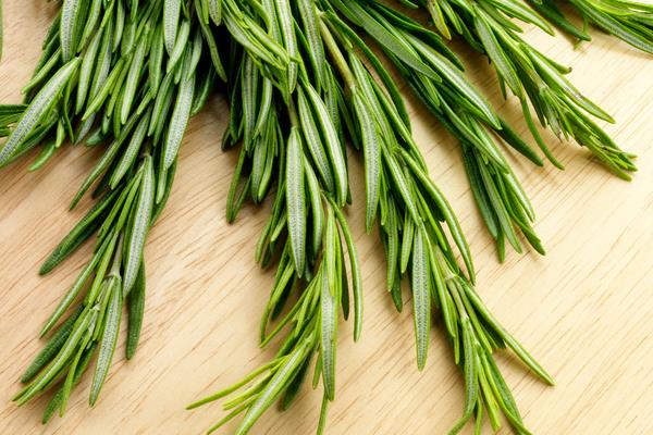 迷迭香什么时候开花(几月) 鼠尾草和迷迭香的差别