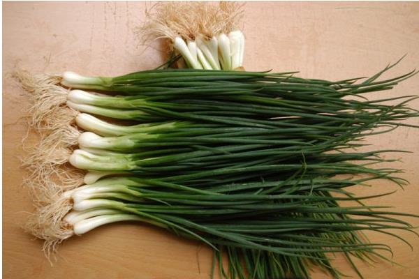 小香葱市场价格多少钱一斤  小香葱的作用