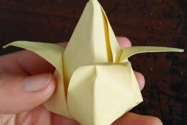 郁金香怎么折(图解步骤) 郁金香简笔画步骤教程