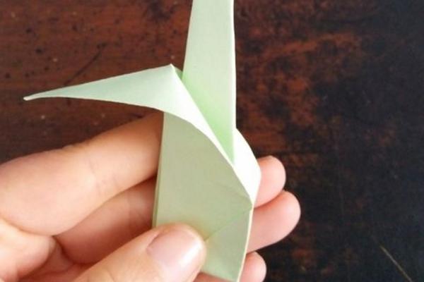 郁金香怎么折(图解步骤) 郁金香简笔画步骤教程