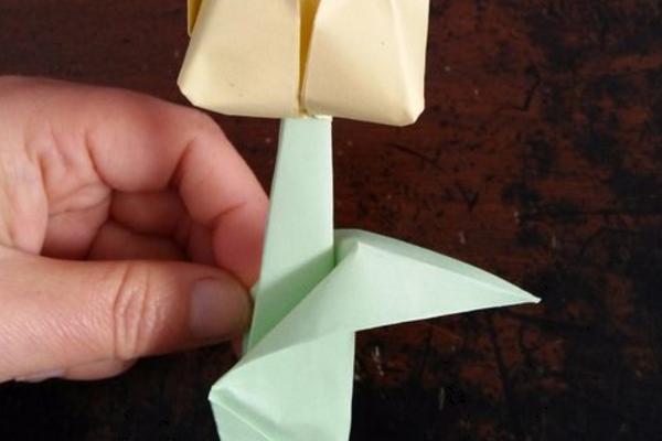 郁金香怎么折(图解步骤) 郁金香简笔画步骤教程