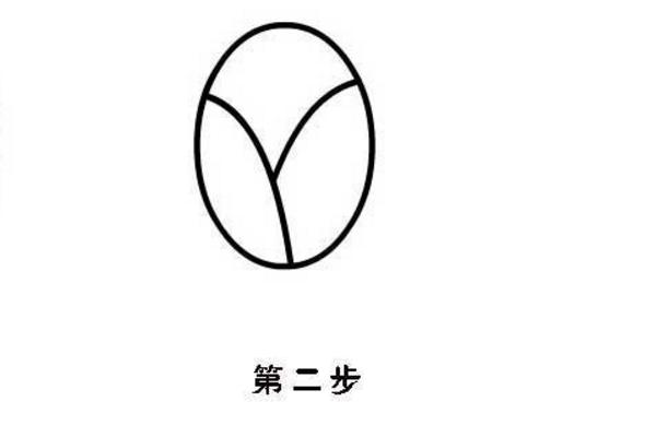 郁金香怎么折(图解步骤) 郁金香简笔画步骤教程