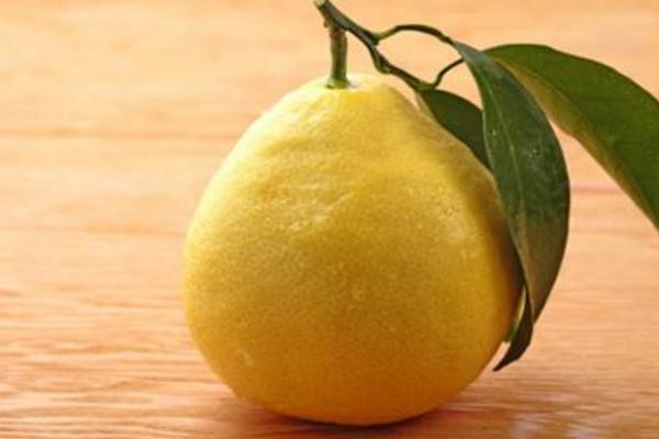 葡萄柚是什么季节的水果 葡萄柚几月熟(上市)