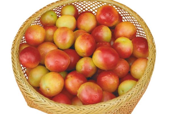 油桃什么时候上市(几月成熟) 油桃是什么季节的水果