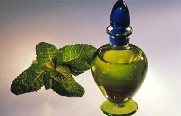 薄荷精油的功效与作用 薄荷精油的用法(可以用脸上吗)