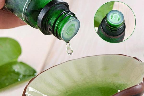 薄荷精油的功效与作用 薄荷精油的用法(可以用脸上吗)