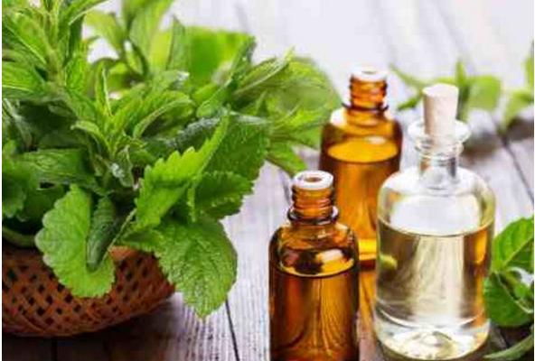 薄荷精油的功效与作用 薄荷精油的用法(可以用脸上吗)