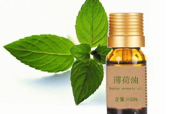 薄荷精油的功效与作用 薄荷精油的用法(可以用脸上吗)