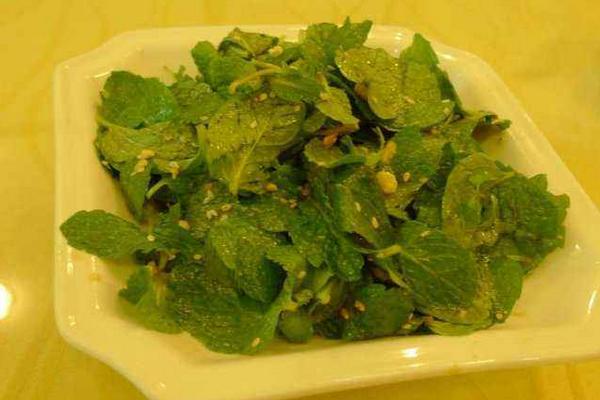 凉拌薄荷叶怎么做既简单又好吃 薄荷的功效作用