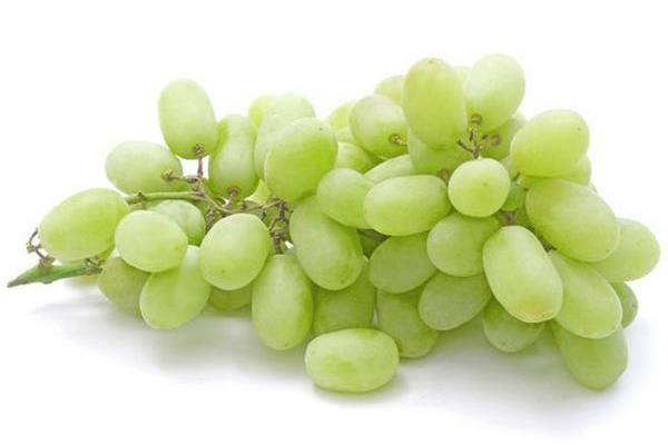 提子什么时候成熟(几月) 提子是什么季节的水果