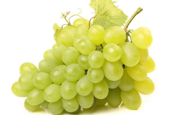 提子什么时候成熟(几月) 提子是什么季节的水果