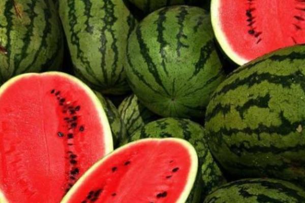 麒麟西瓜产地在哪里 麒麟瓜几月熟（上市季节）